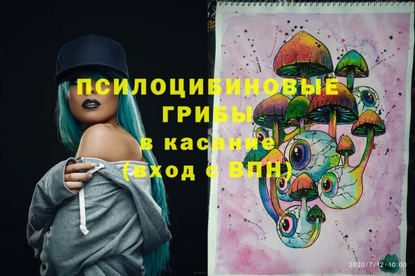 PSILOCYBIN Белокуриха