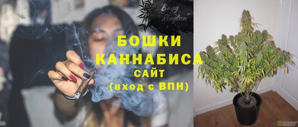 PSILOCYBIN Белокуриха