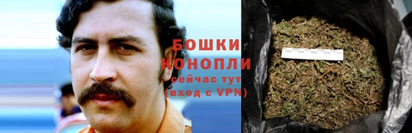 PSILOCYBIN Белокуриха