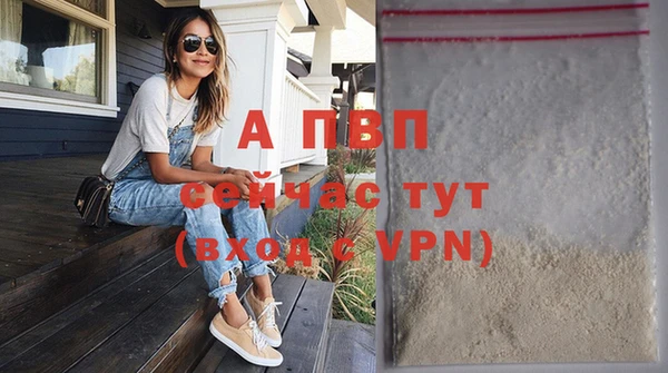 PSILOCYBIN Белокуриха