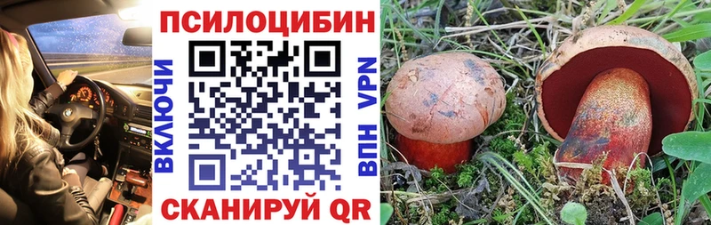 магазин продажи   Челябинск  omg ссылки  Псилоцибиновые грибы Psilocybine cubensis 